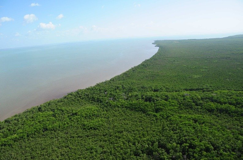 Península de Yucatán, reservorio clave de agua subterránea en México pese a riesgos de contaminación