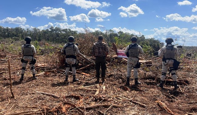 Clausuran 52 hectáreas de selva en Champotón por desmonte sin permisos