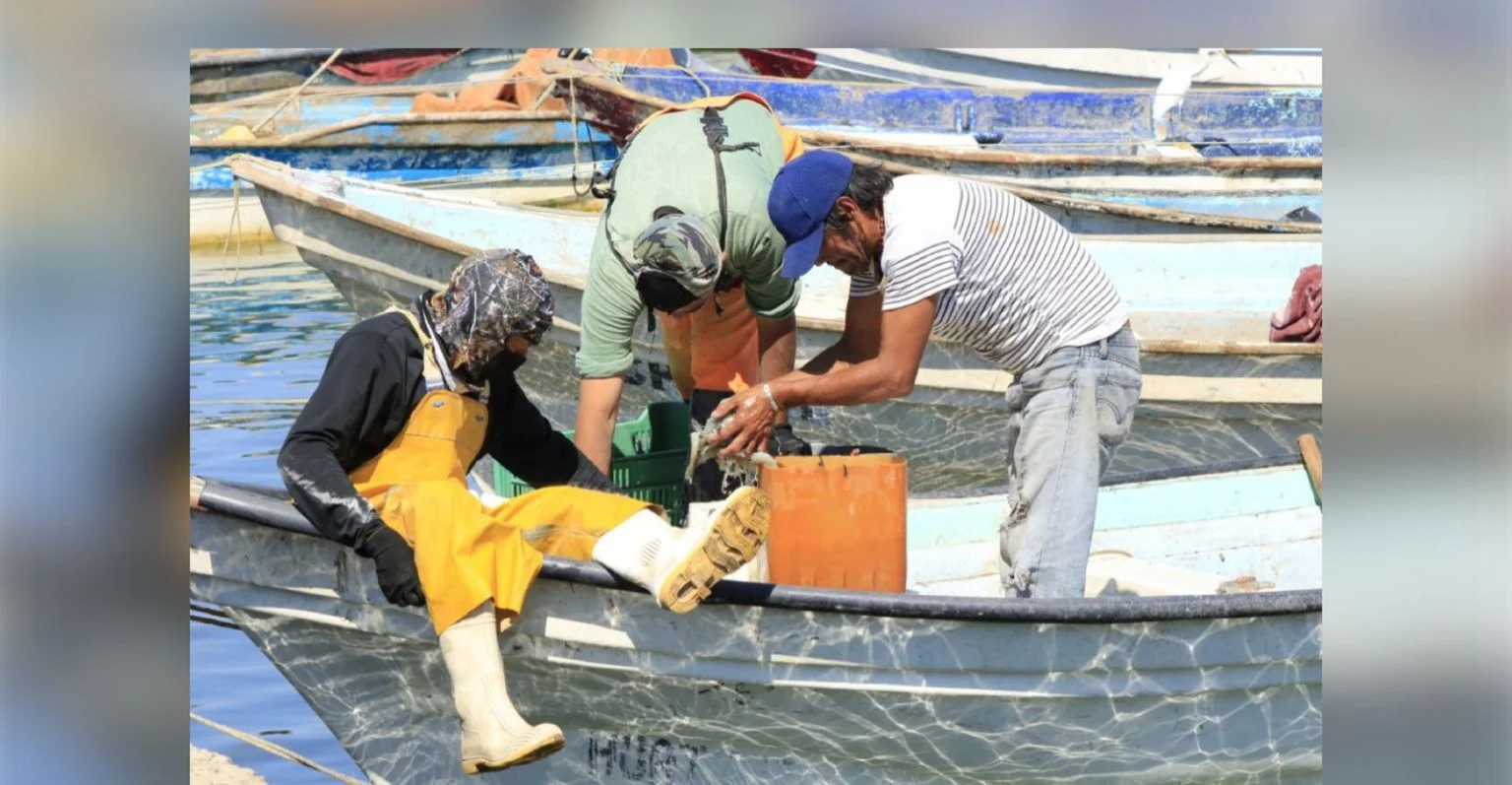 Pescadores presionan; Gobierno analiza elevar subsidio por veda